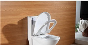 装修卫浴洁具小知识